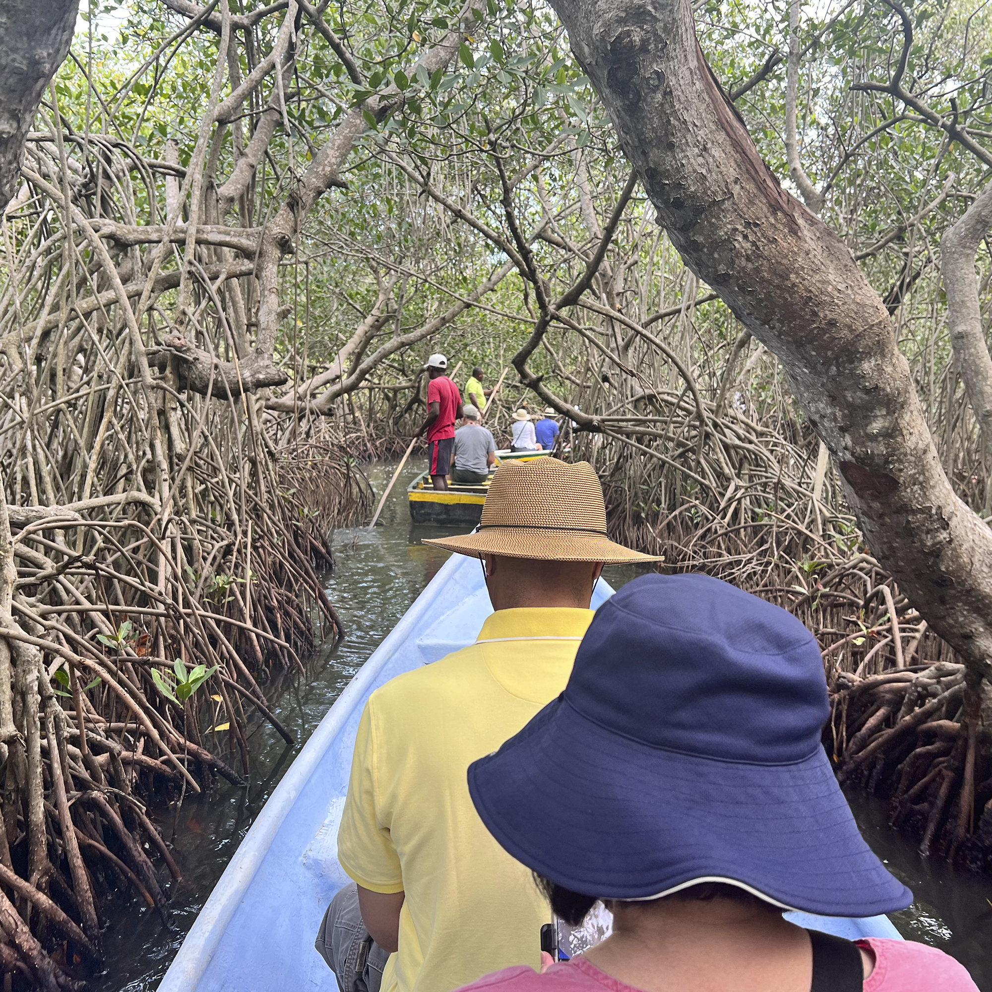 Cartagena: Boquilla village tour and Mangroves Canoe Ride